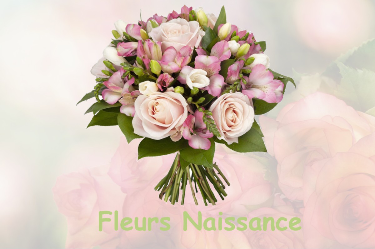 fleurs naissance VAUX-SUR-SEINE